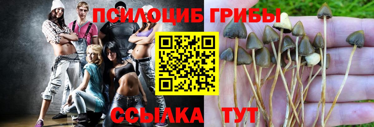 Псилоцибиновые грибы GOLDEN TEACHER  Галлюциногенные грибы мицелий  Вход с VPN  Полысаево 